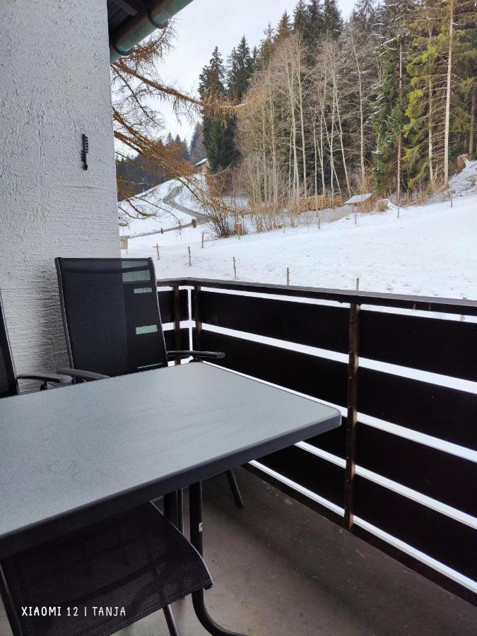 Appartement Weideglueck-Zentral-Dampfdusche à Oberstaufen Extérieur photo